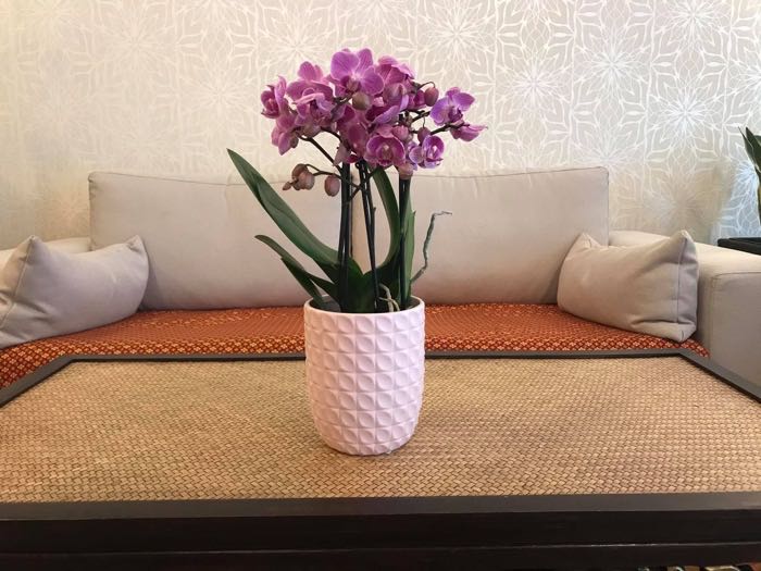 Aromaöle und Kerzen für die thailändische Ölmassage